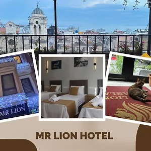  Отель Mr Lion Kumkapi
